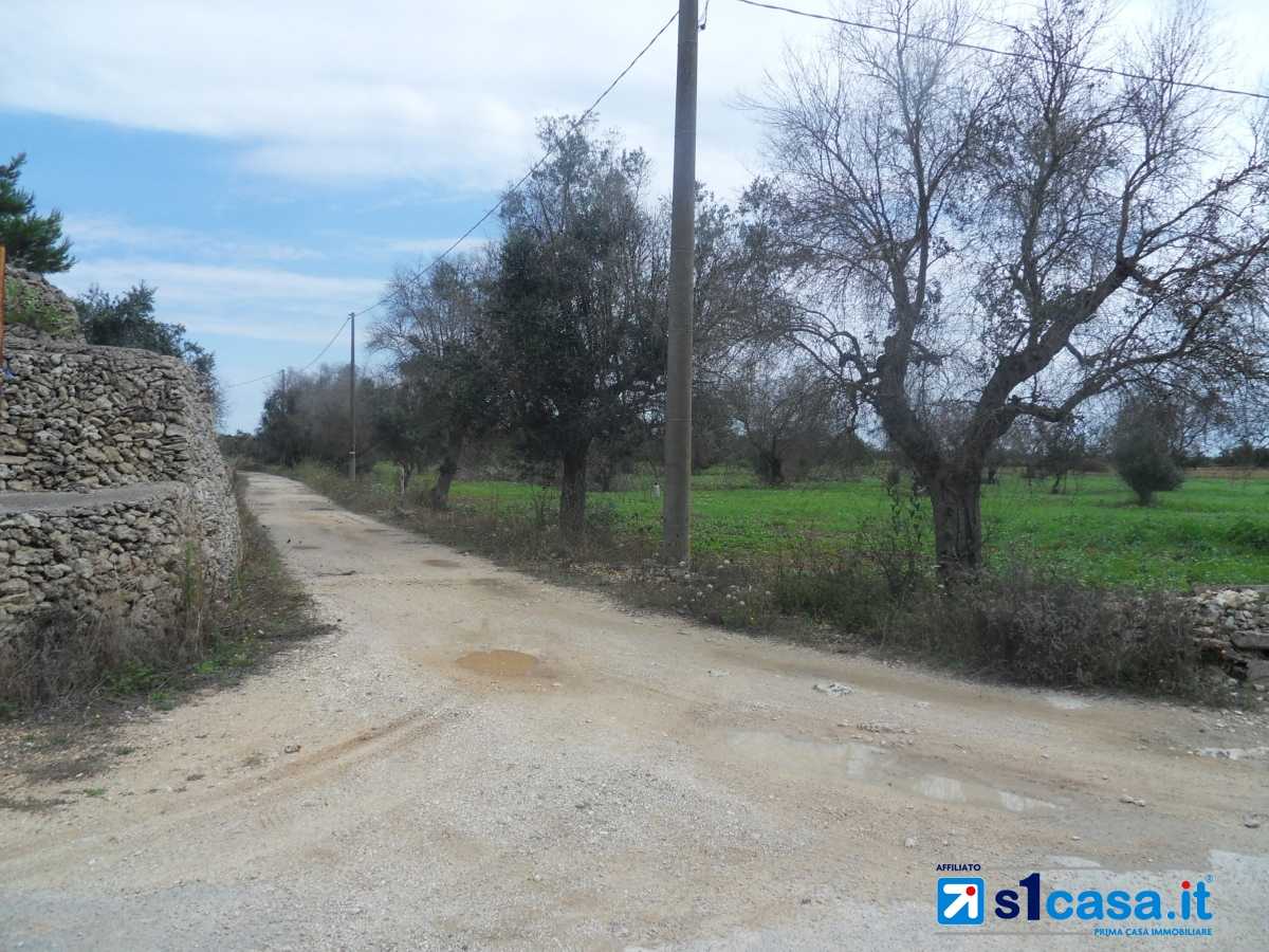 immagine annuncio 1 di 8