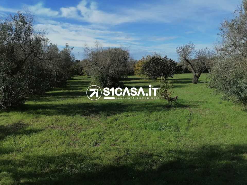 immagine annuncio 3 di 6