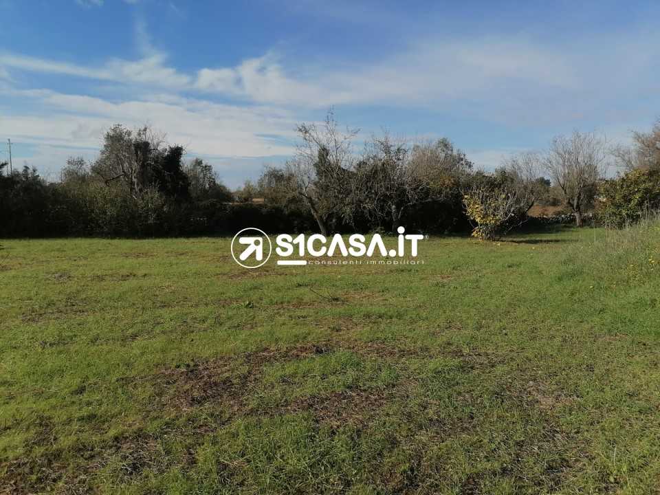 immagine annuncio 4 di 6