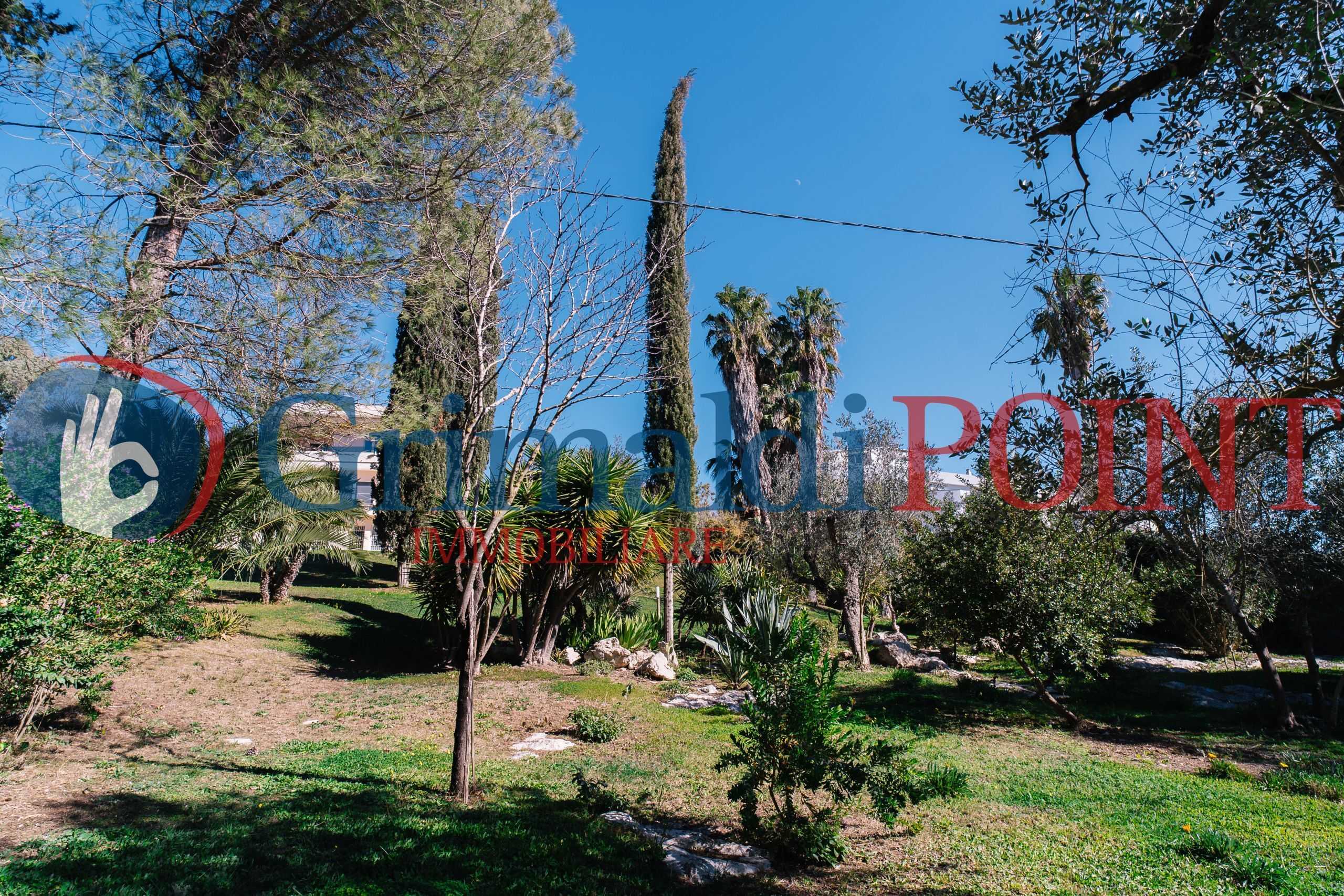  - foto 44