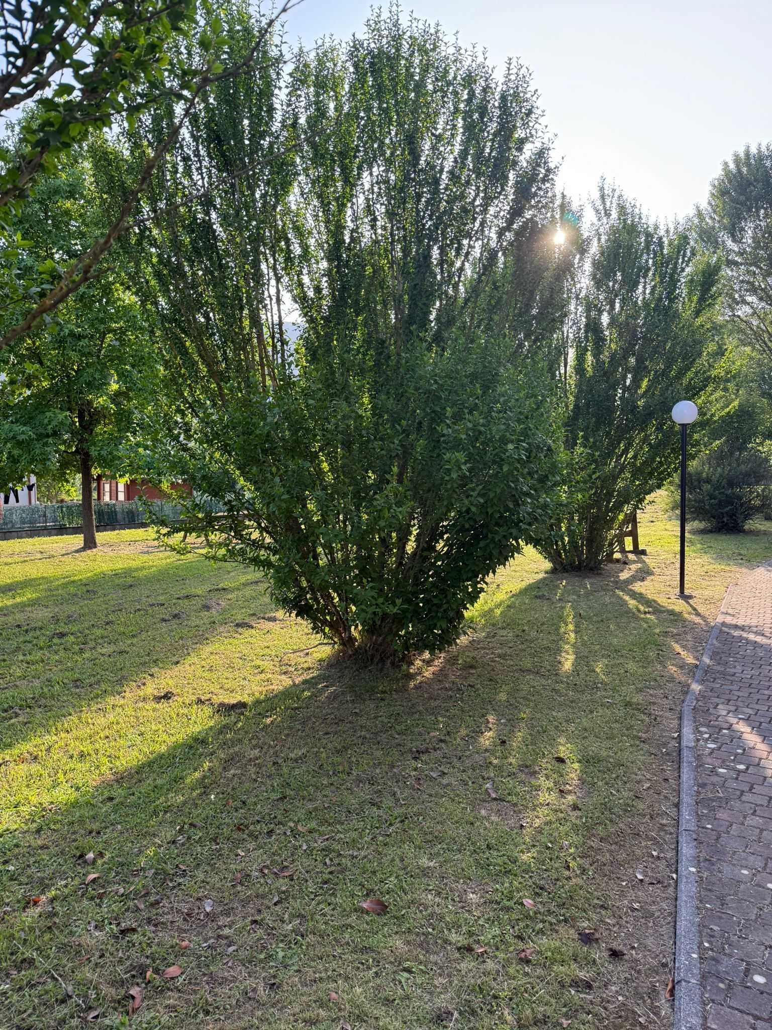  - foto 32