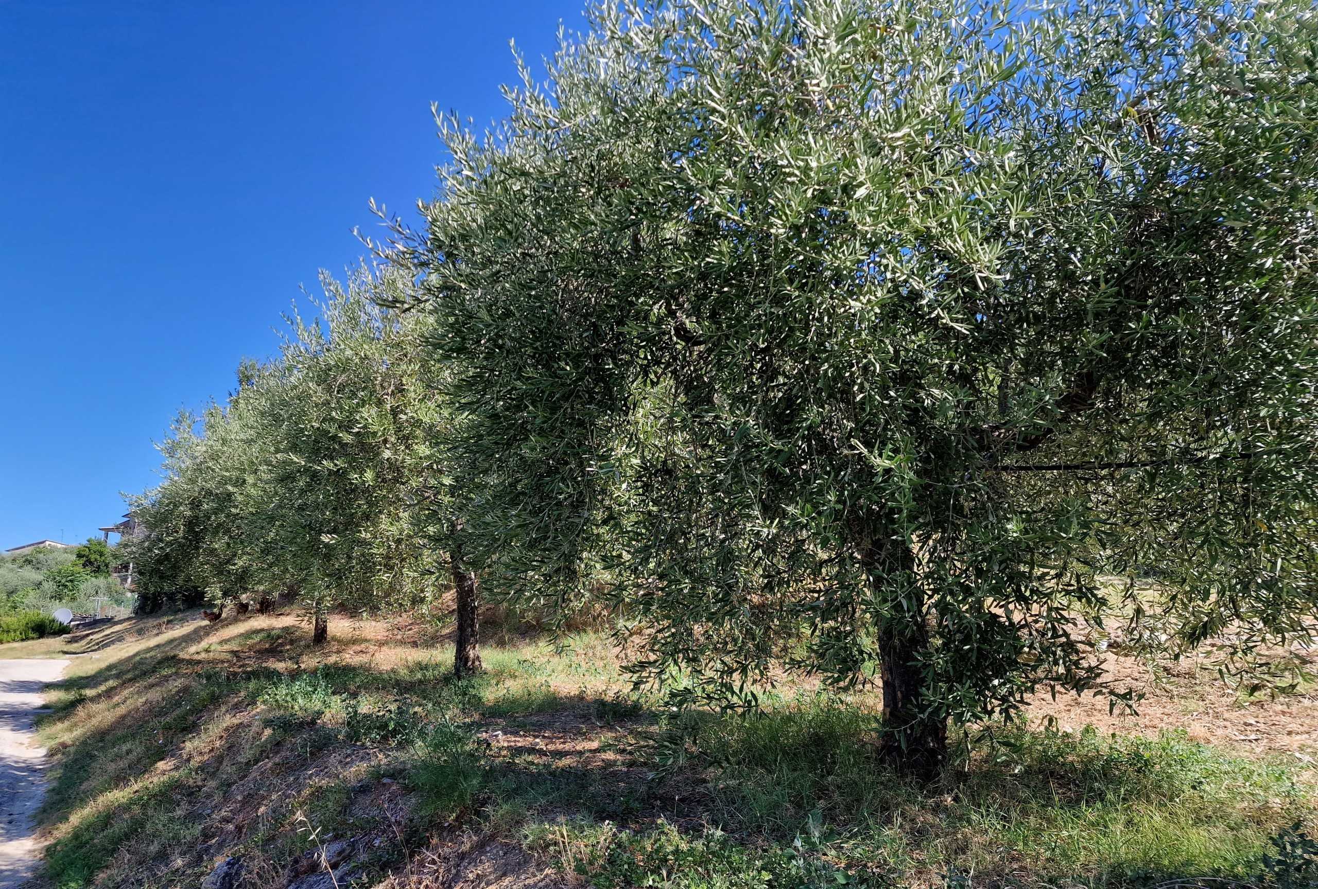  - foto 50