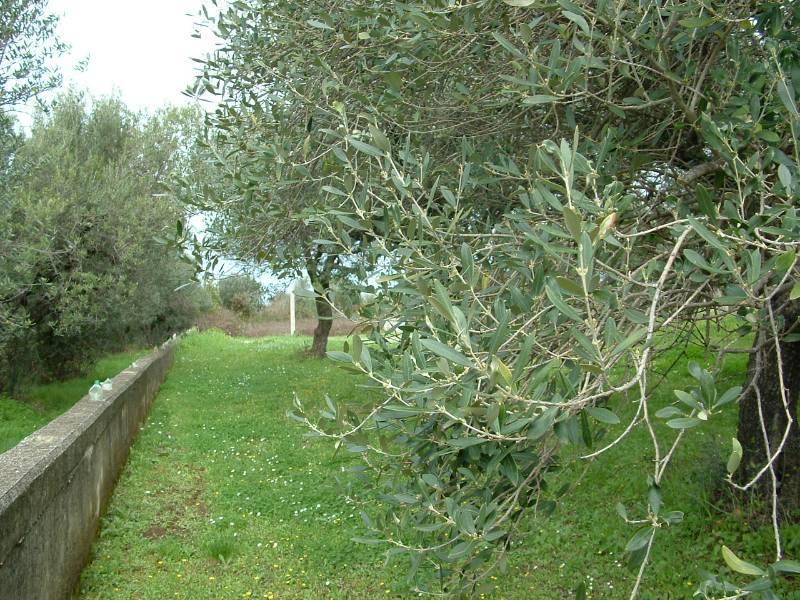  - foto 28