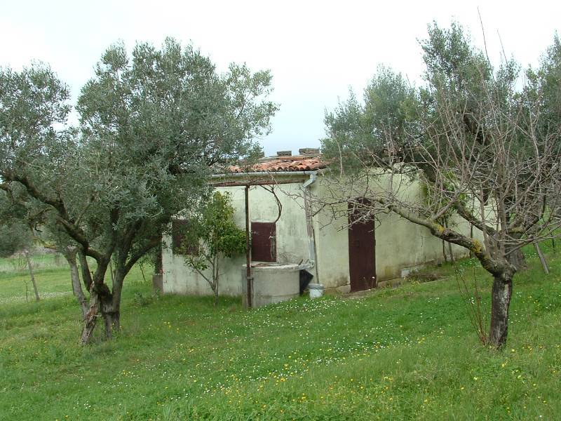  - foto 4