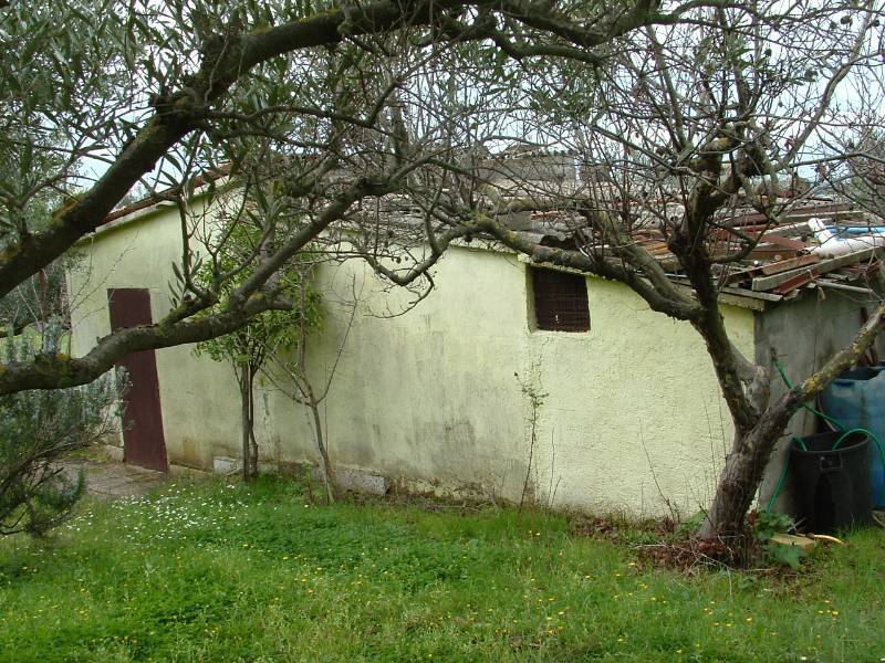  - foto 5