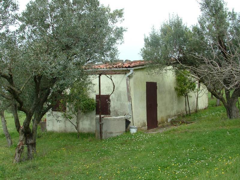  - foto 6