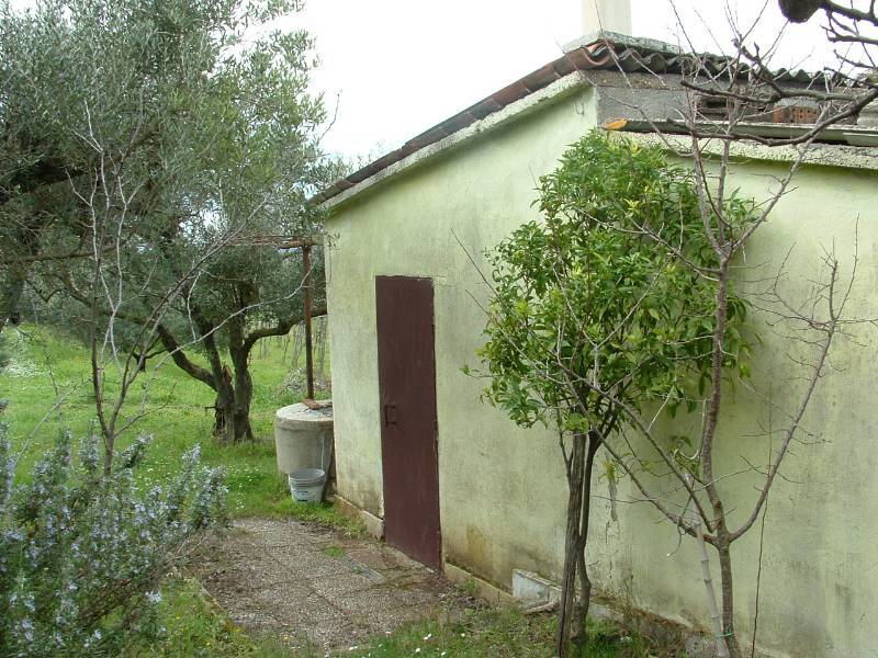  - foto 8