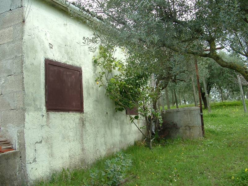  - foto 9