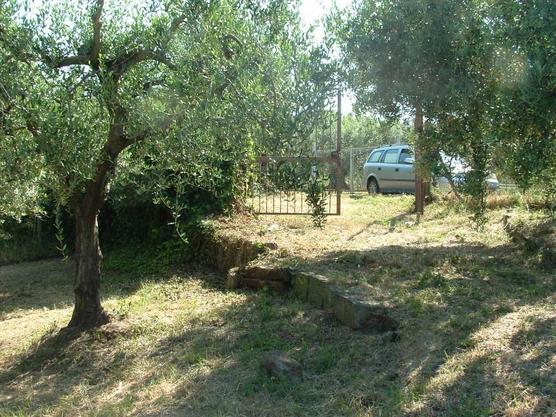 immagine annuncio 4 di 6