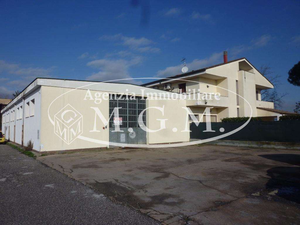  - foto 2