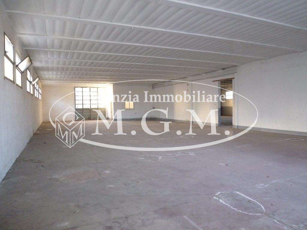  - foto 5