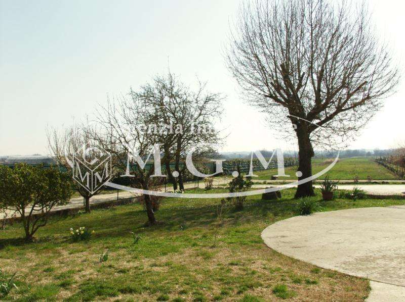  - foto 14