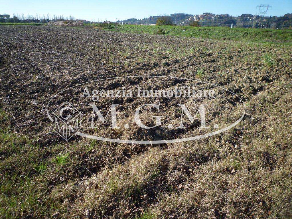 Terreno agricolo ,, Santa Maria a Monte