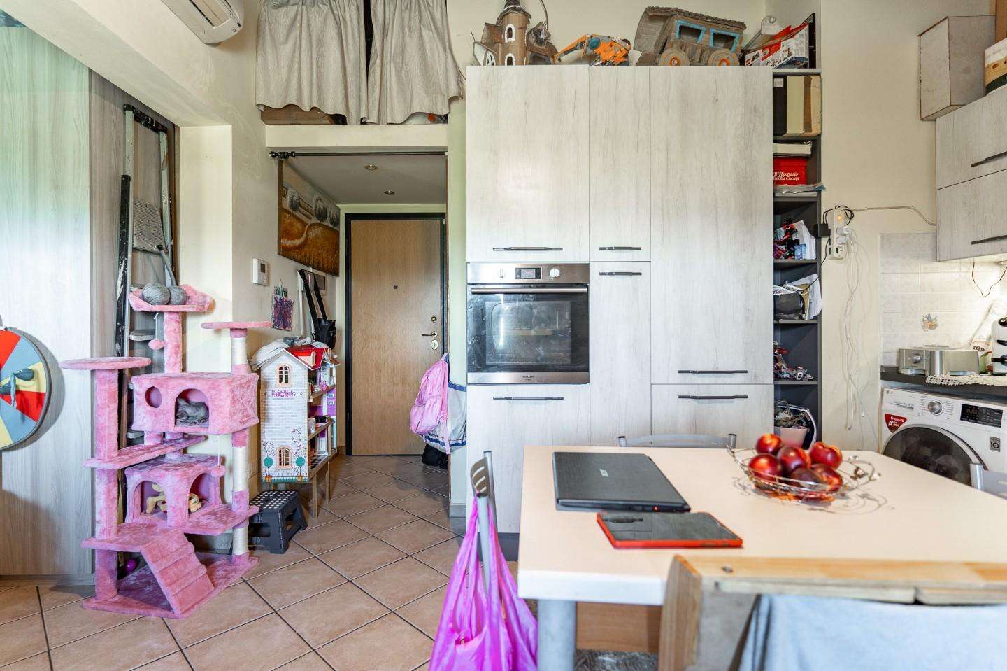 immagine annuncio 8 di 15