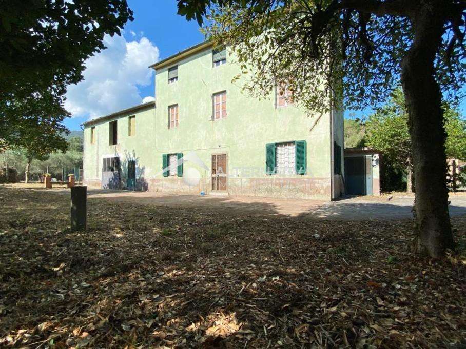  - foto 43