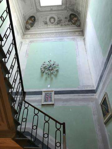  - foto 24