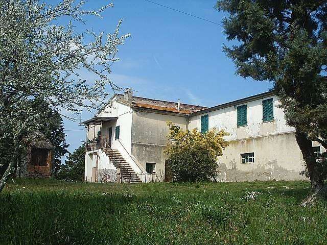 immagine annuncio 5 di 11