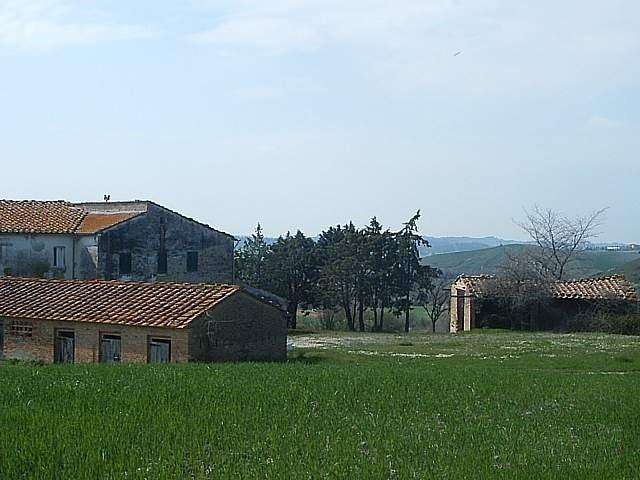 immagine annuncio 9 di 11