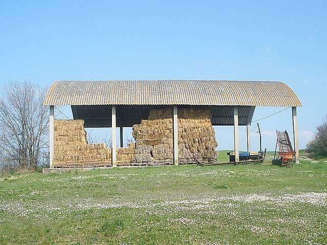 immagine annuncio 10 di 11