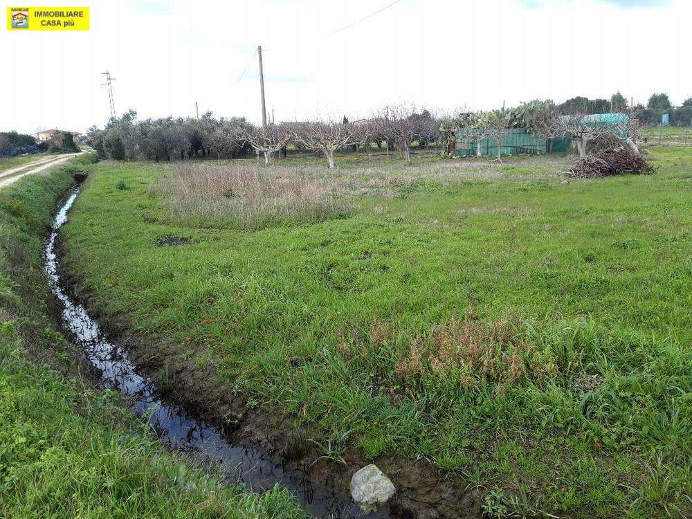 terreno agricolo in vendita a Cascina in zona San Frediano a Settimo