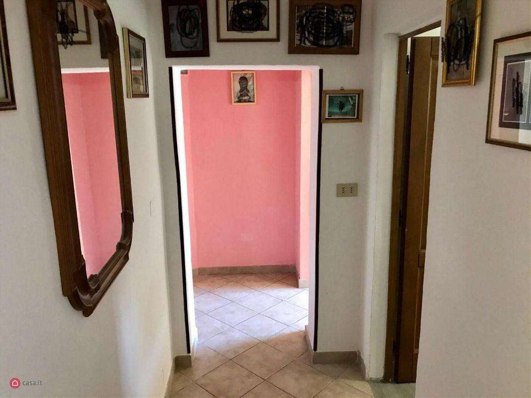 immagine annuncio 9 di 14