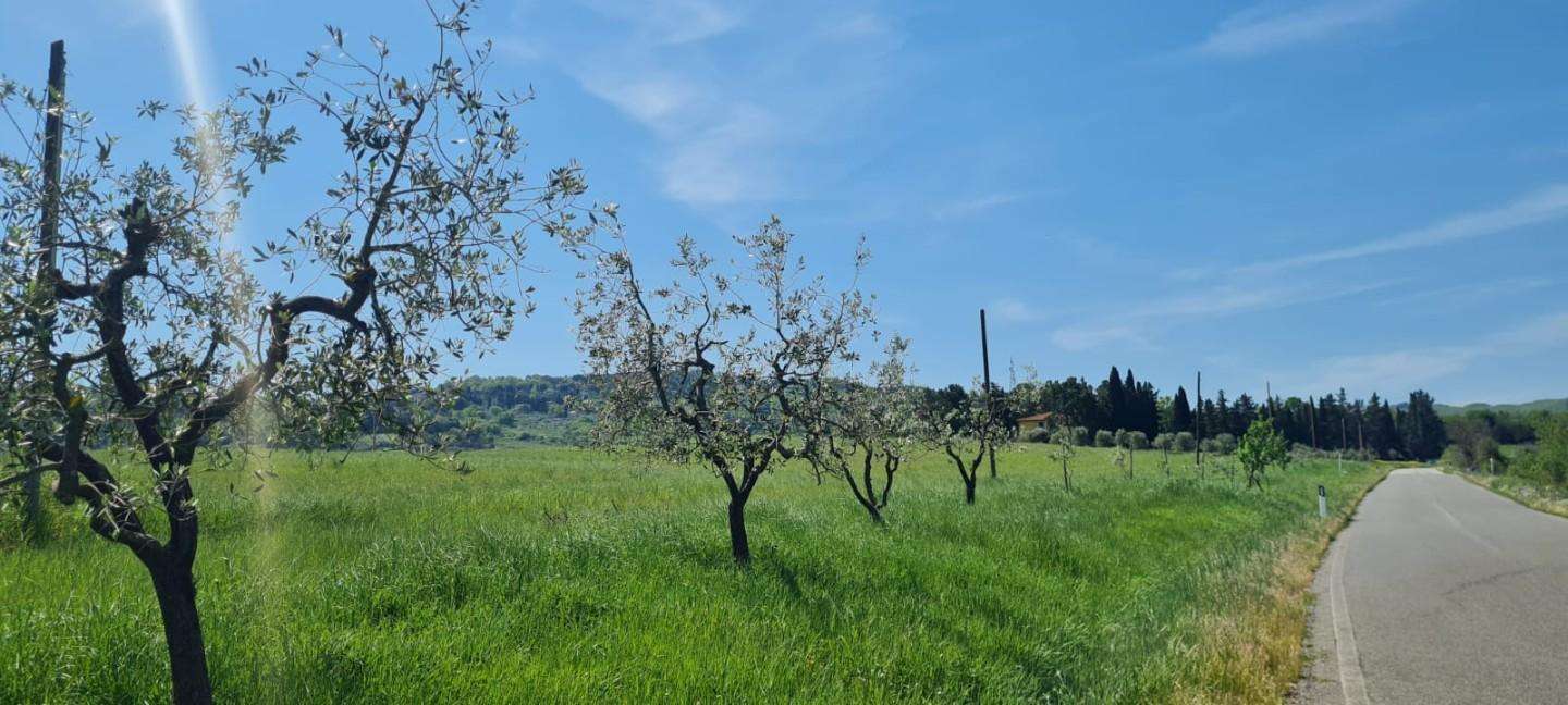  - foto 31