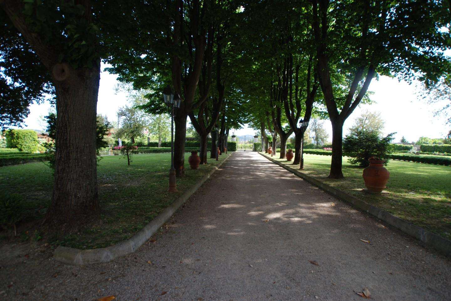  - foto 7