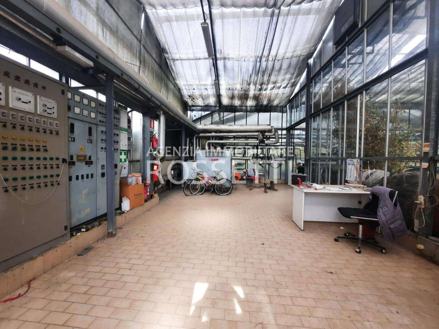 immagine annuncio 10 di 11
