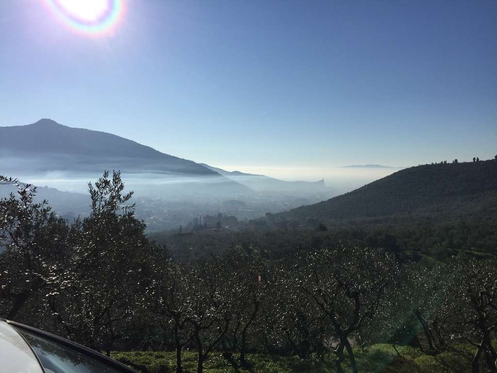 immagine annuncio 2 di 3