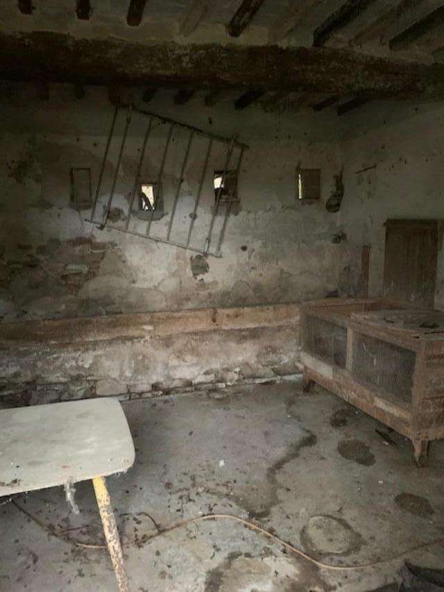 immagine annuncio 1 di 11