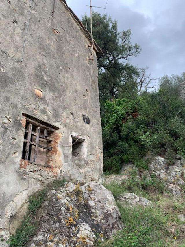 immagine annuncio 2 di 11