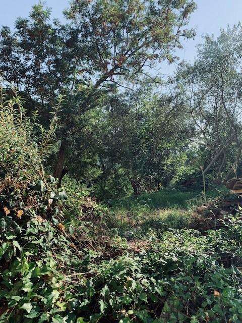  - foto 13