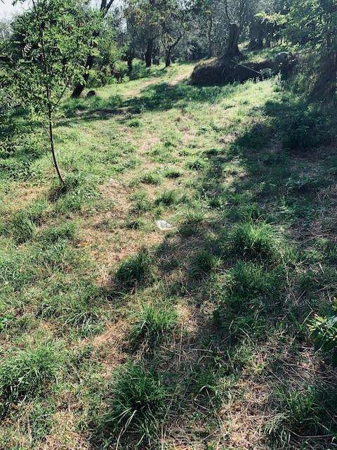  - foto 15