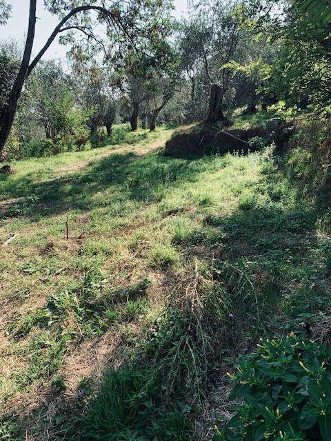  - foto 16