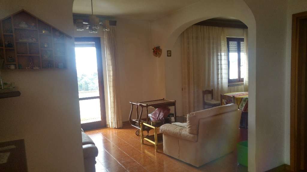  - foto 10