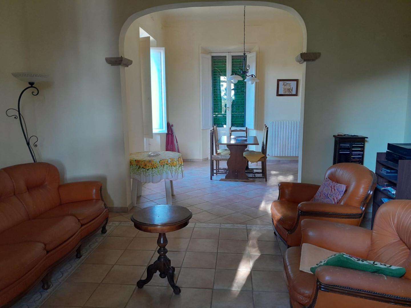  - foto 31
