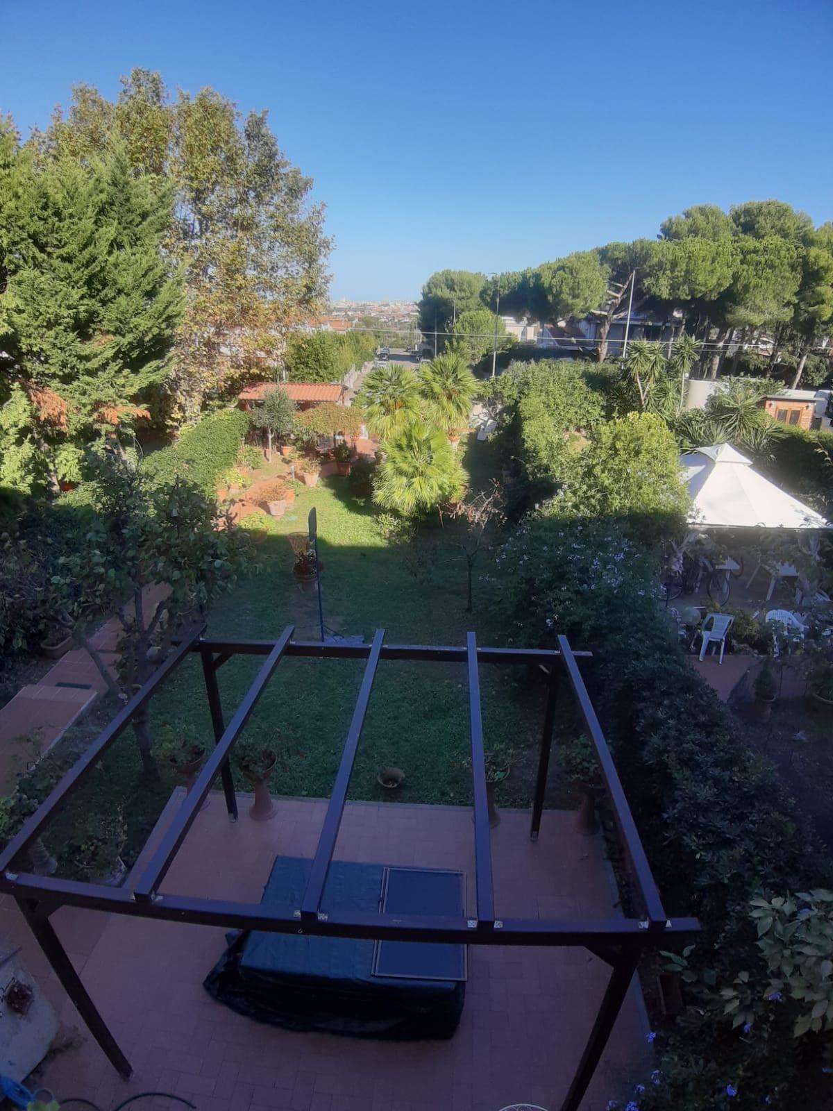  - foto 24