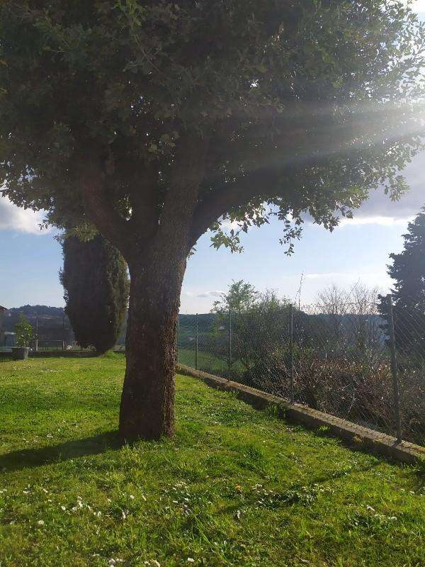  - foto 34