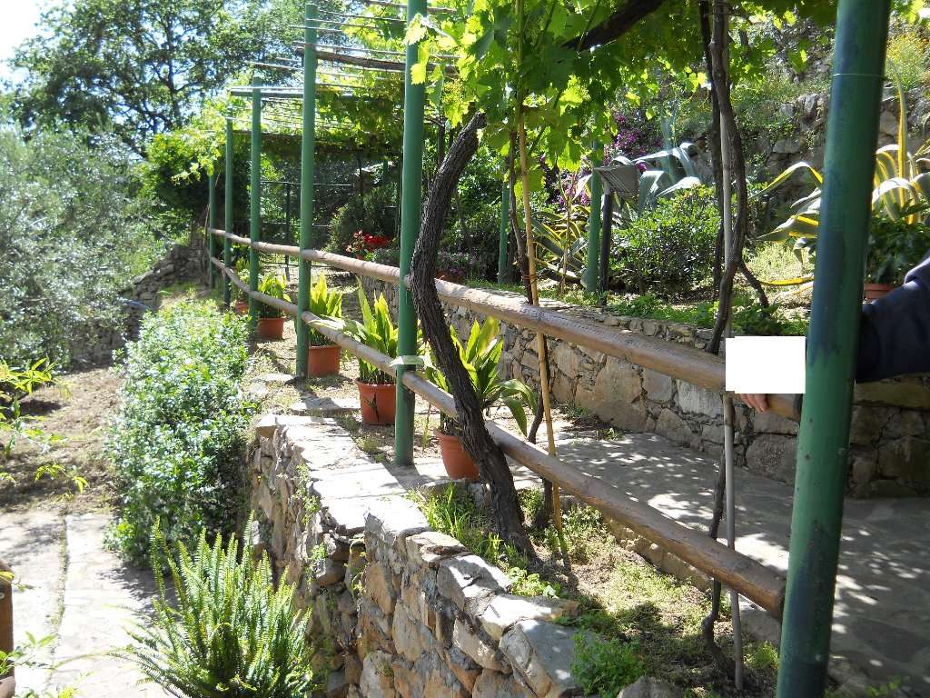  - foto 19