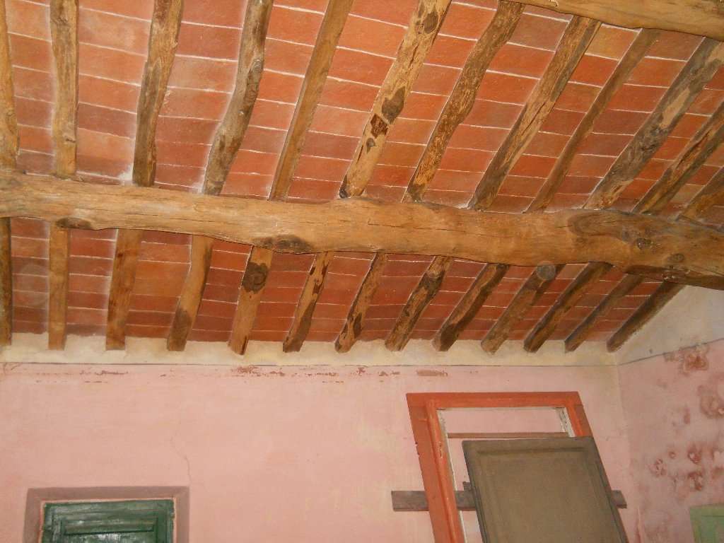  - foto 7