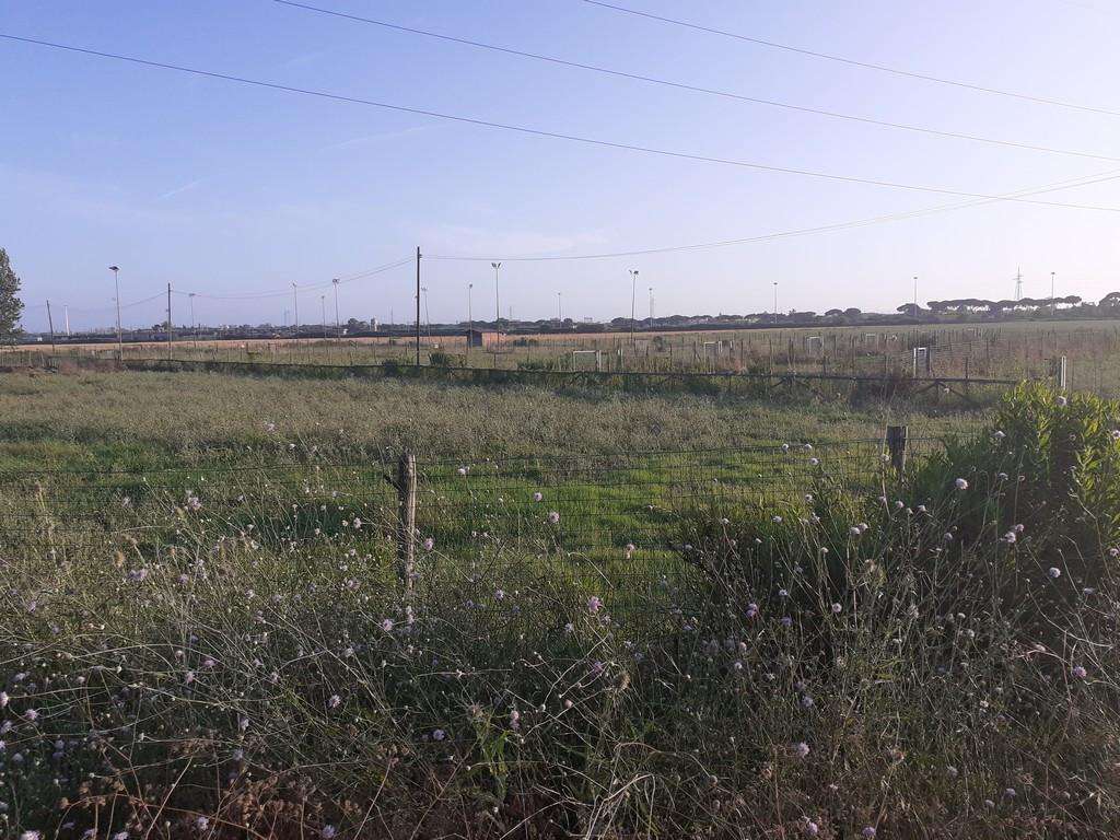  - foto 4