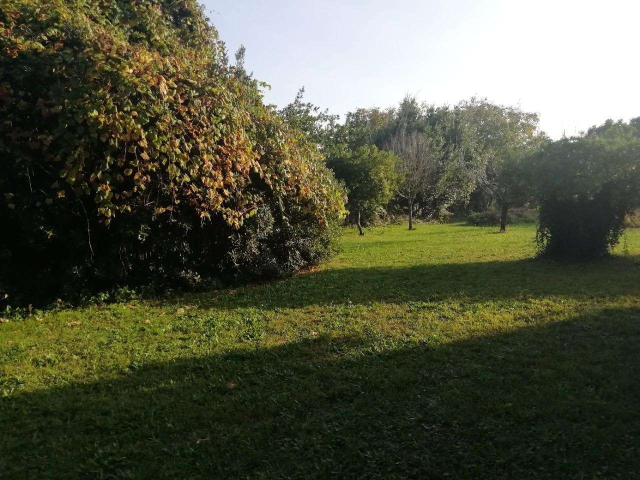 immagine annuncio 9 di 13