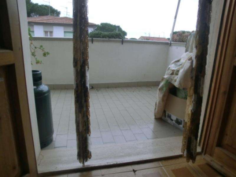 immagine annuncio 6 di 14