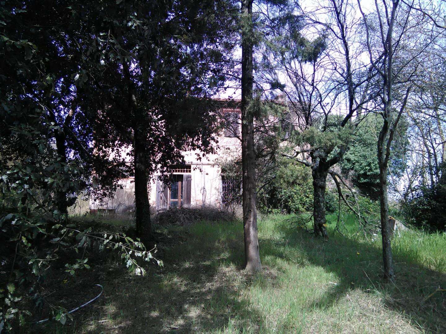 immagine annuncio 3 di 7
