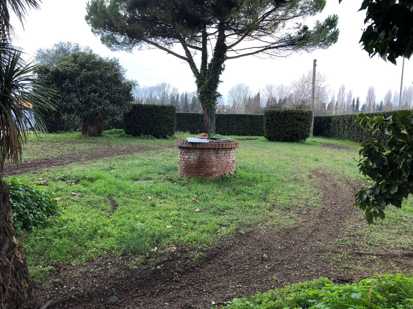  - foto 31