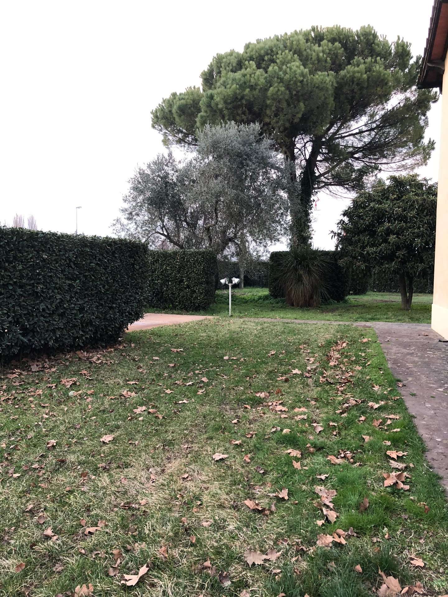  - foto 32