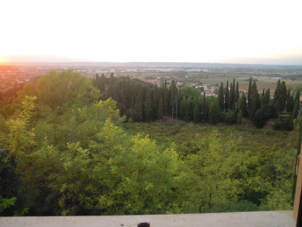  - foto 8