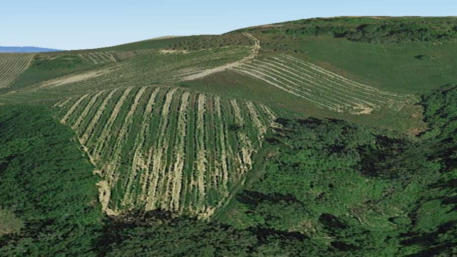 Azienda agricola HWJ+8Q Montaione FI,, Montaione