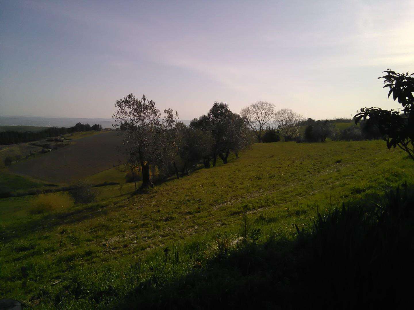  - foto 9