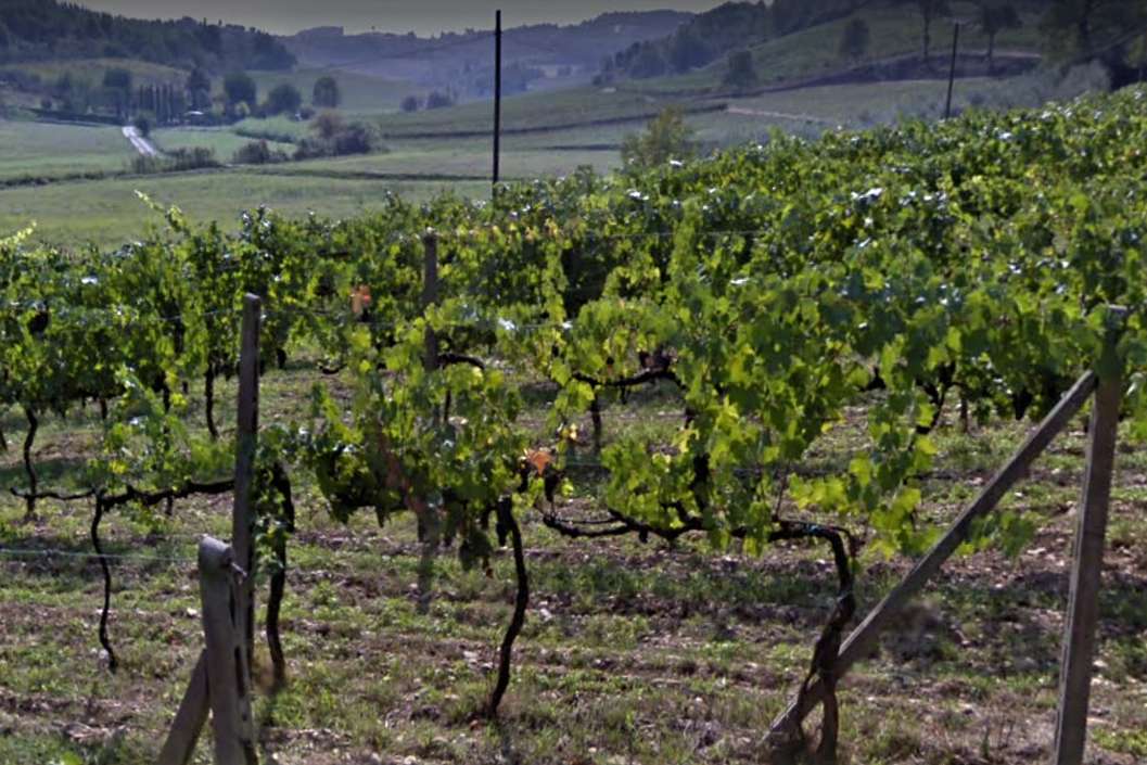 Terreno agricolo in Vendita a San Miniato Via Tosco Romagnola Est,